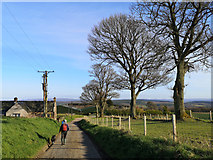 NH6455 : Downhill towards Balnakyle Farmhouse by Julian Paren