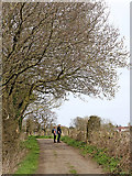 SO9095 : Public footpath to Goldthorn Park by Roger  Kidd