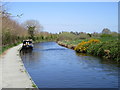 Quiet on the canal