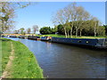 Narrow boats moored NE of Coachman