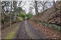 Road to Ness Castle