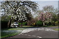 Mitcham Road Cemetery