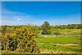 SJ7351 : Wychwood Park Golf Course by Scott Robinson