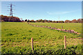 Fields alongside Lower Quarry Road, Bradley