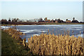 Willen Lake and view to Willen village, Milton Keynes