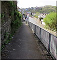 Down an elevated pavement, Brynglas Road, Newport