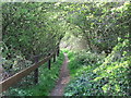 Public Footpath near the Beehive Inn, Whitley Bay