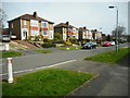 Houses on South Mains Road