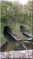 The Little Avon River Passes under the A38