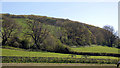 Hillside above Tyllwyd Farm