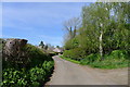 Lag Lane approaching Thorpe Arnold