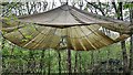 Canopy at Woods Mill