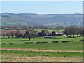 View east from Long Lane