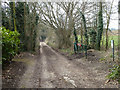 Track towards Lavrock Lane