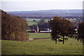 View to Pitt Farm, Dockenfield from path leading to Hallsgrove Copse