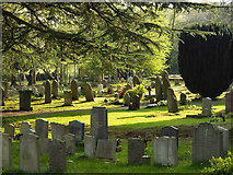SO7119 : St. John's churchyard, 1 by Jonathan Billinger