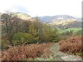 Bridleway on Place Fell