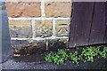 Benchmark on wall at west end of Carisbrooke Avenue