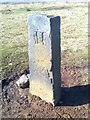 Old Boundary Marker