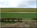 SE9861 : Crop field, Garton Wold by JThomas