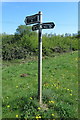 SO9675 : Monarch's Way fingerpost on A491 near Junction 4 of M5 Motorway by Roy Hughes