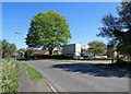 Teversham: building work and a fine tree