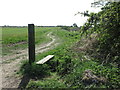 Public Footpath near Murton