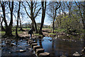 Stepping stones across Waskerley Beck