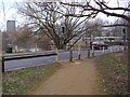 Cool Oak Lane by the Welsh Harp reservoir