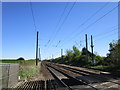 The East Coast Main Line at Barnby Lane Crossing