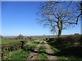 Farm track near Laigh Netherfield