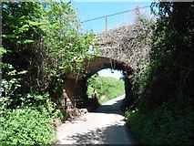 ST0341 : Railway bridge near Billbrook by Roger Cornfoot