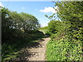 Footpath, Murton