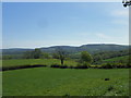 View from the foot of Great Hanger towards Butser Hill