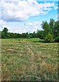 Public footpath to Witney, Ducklington, Oxon