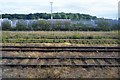 Railway sidings, Parkeston Quay