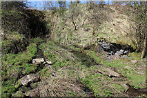 NS3356 : Stream by the Lochwinnoch Loop Line cycle path by Thomas Nugent