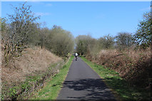 NS3357 : Lochwinnoch Loop Line cycle path by Thomas Nugent