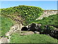 Culvert on unnamed stream, Whitley Bay