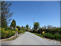 Lane in Leamoor Common