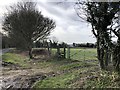 Footpath to East Marden