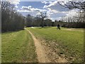 Paths in Tattenhoe Valley Park