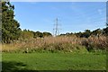 Pylon near golf club