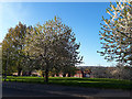 Open space on Broadlea Road