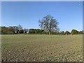 Fields on the edge of Nottingham