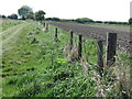 Old Boundary Fence near Murton