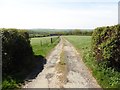 Lane to Muckford