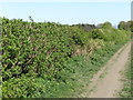 Public Footpath near Shiremoor