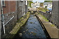 Newlyn Coombe River