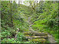 SE1125 : Path in a ravine, Southowram by Humphrey Bolton